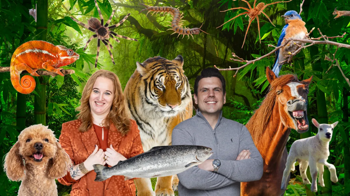 Vacatureteksten die wél werken voor Gen Z