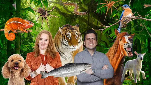 Vacatureteksten die wél werken voor Gen Z